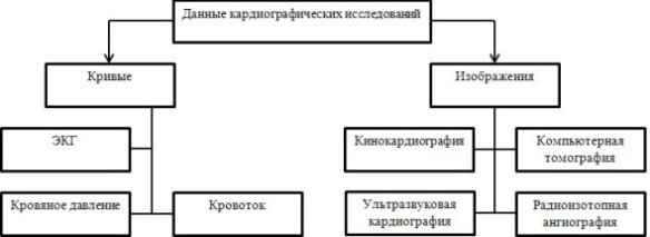 Категории объективных кардиологических данных Категории объективных кардиологических данных